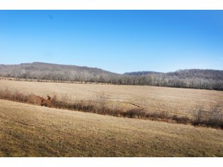Tract 19 - Tillable - REAL ESTATE AUCTION - 1,013 ACRES IN 21 TRACTS IN MARTIN COUNTY, INDIANA